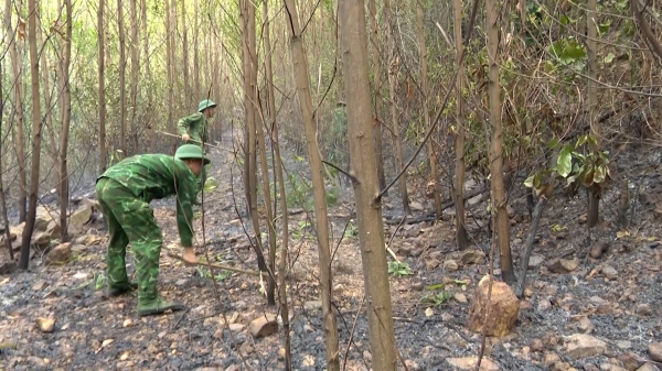 Cháy hơn 15 hecta rừng tại Quảng Bình