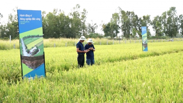 Việt Nam là nước đầu tiên tại Đông Nam Á ra mắt mô hình Forward Farm
