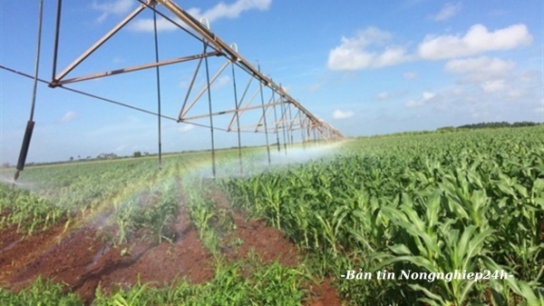 Nhiều hợp tác hiệu quả nông nghiệp Việt Nam - Cuba