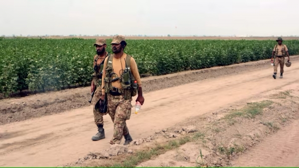 Pakistan giao đất canh tác cho quân đội trước nguy cơ thiếu lương thực