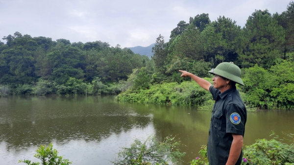 Quảng Ninh thúc đẩy quản lý rừng bền vững