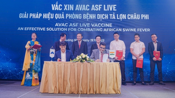 AVAC và các đối tác nước ngoài ký kết phân phối vacxin ASF