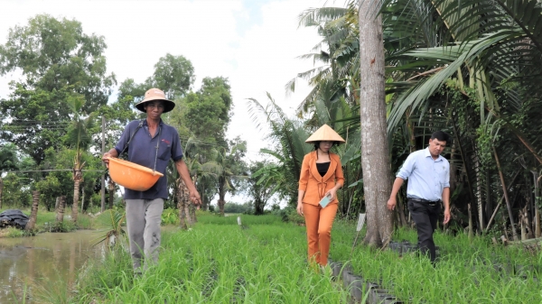 Người được ‘chọn mặt gửi vàng’ chăm sóc 10.000 chậu lúa của Con đường lúa gạo