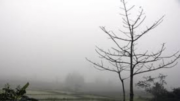 Thời tiết nông vụ ngày 10/11/2023: Sương mù bao phủ Bắc bộ