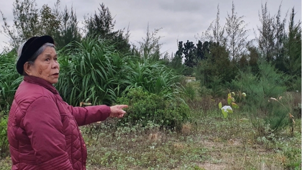 Vụ mua bán đất rừng tại Nghi Sơn: Bà Nghiệm công khai chứng cứ