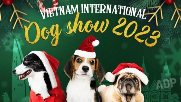 Hội thi chó giống quốc tế lớn nhất Việt Nam