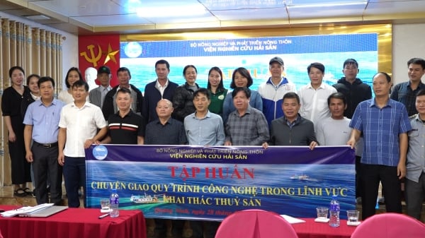 Ngư dân Quảng Ninh hào hứng trước công nghệ mới trong khai thác thủy sản