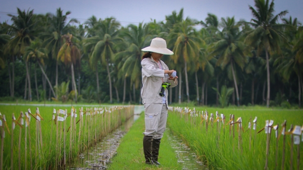 Research-based approaches are the backbone for Vietnam’s green growth