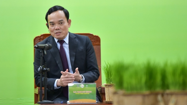 Phó Thủ tướng Trần Lưu Quang: Hợp tác quốc tế triển khai nhanh nhất Đề án 1 triệu ha lúa chất lượng cao, phát thải thấp