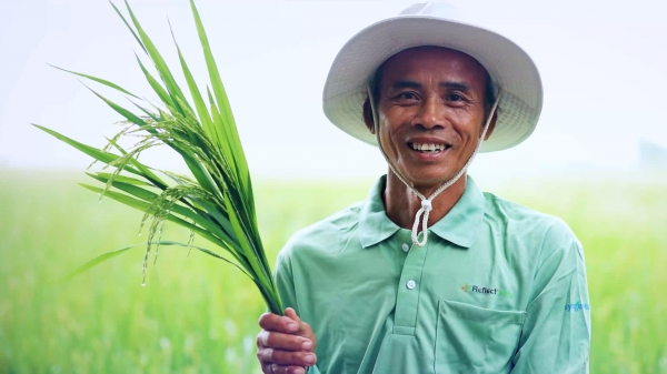 Nâng tầm hạt gạo Việt với các giải pháp từ Syngenta
