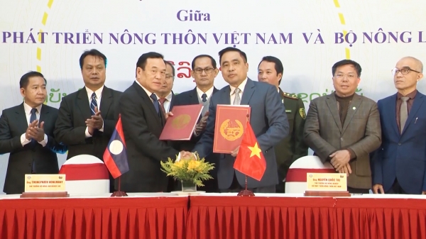 Việt Nam - Lào tăng cường hợp tác ngăn chặn vận chuyển gỗ bất hợp pháp
