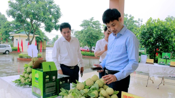 Tỉnh Quảng Ninh tái cơ cấu nông nghiệp theo hướng hiện đại