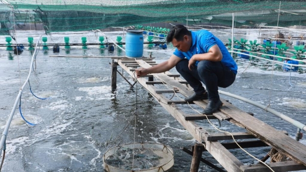 3 quy trình nuôi trồng thủy sản mang lại hiệu quả kinh tế cao