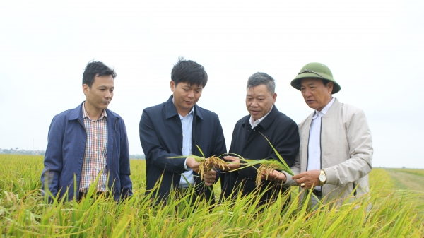 Trung tâm Khuyến nông Ninh Bình: 30 năm đồng hành cùng nông nghiệp, nông dân