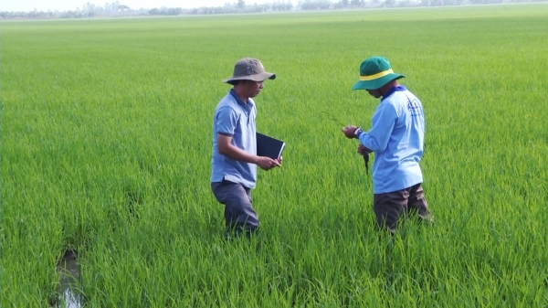 Đề xuất thành lập hai trung tâm khảo kiểm nghiệm lĩnh vực trồng trọt