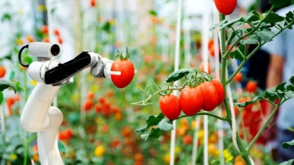 Robot nông nghiệp phát triển mạnh ở Trung Quốc