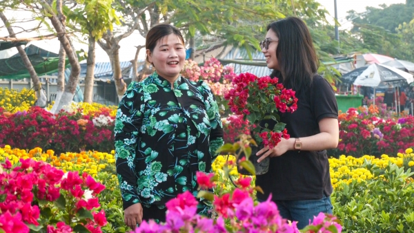 Nhộn nhịp chợ hoa Tết hơn 20 năm ở ĐBSCL