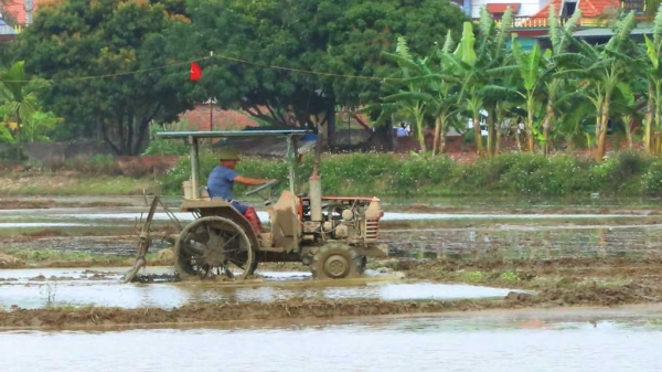 Nông dân Quảng Ninh tất bật xuống đồng