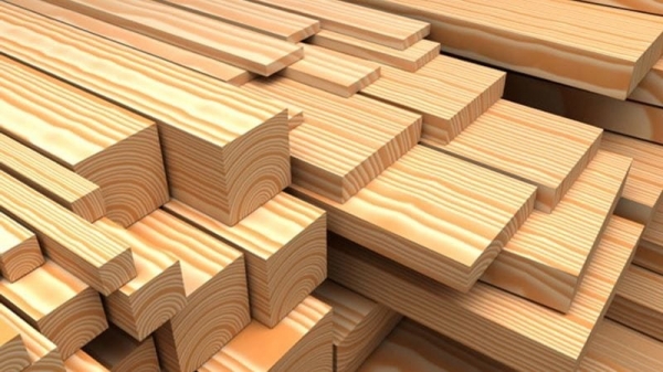 Việt - Mỹ hợp tác nâng cao năng lực chống buôn bán gỗ trái phép