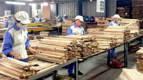 Bản tin Lâm nghiệp ngày 8/3/2024: Xuất khẩu gỗ, lâm sản có tín hiệu tích cực