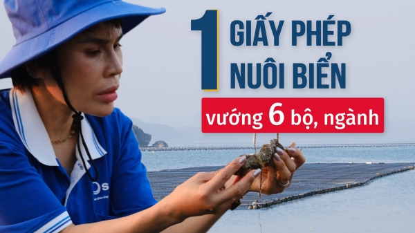 [Bài 1] 7 năm trời vật vã xin giấy phép nuôi biển