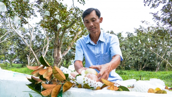 Xây dựng thương hiệu nông sản Việt đáp ứng chuẩn thế giới