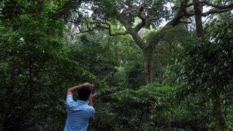 Hanoi has 10 million people with only 18,500 ha of forest