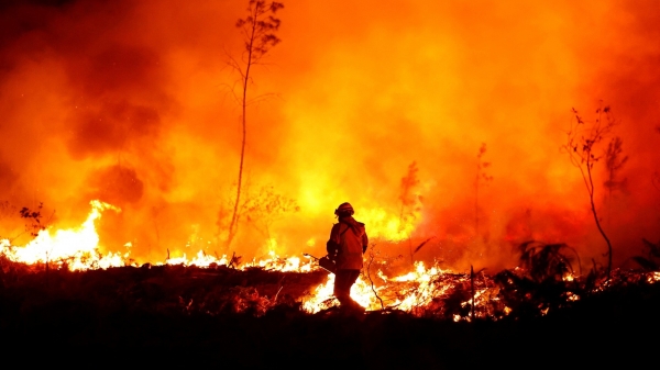 Nắng nóng gay gắt, nguy cơ cháy rừng cấp cực kỳ nguy hiểm