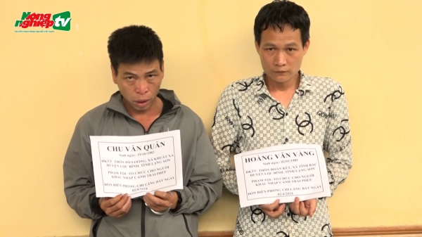 Tạm giữ 2 nghi phạm đưa người Trung Quốc nhập cảnh trái phép