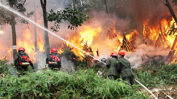 Thành lập 50 đội phòng chống ‘giặc lửa’ trên 45.000ha rừng
