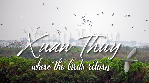 Xuan Thuy - Where the birds return