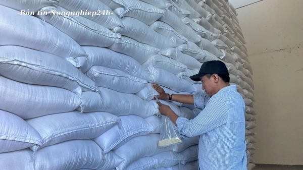 Xuất cấp gần 747 tấn gạo cho Điện Biên, Bắc Kạn dịp giáp hạt
