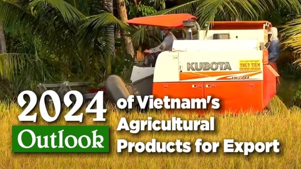 Vietnam leads in rice exports to Singapore