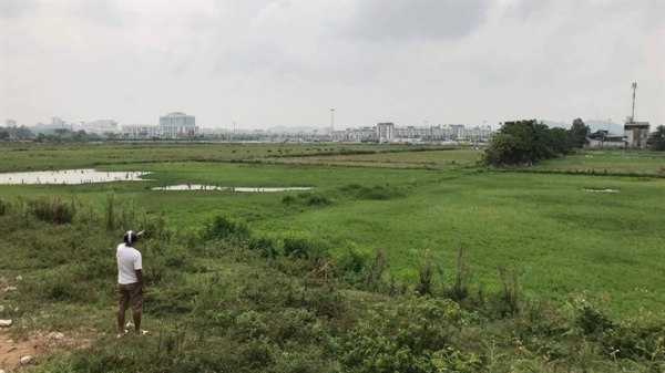 Quy hoạch đô thị khiến hơn 40 ha đất hai vụ lúa bỏ hoang