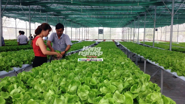 Quảng Trị: Xây dựng 12 chuỗi nông sản an toàn