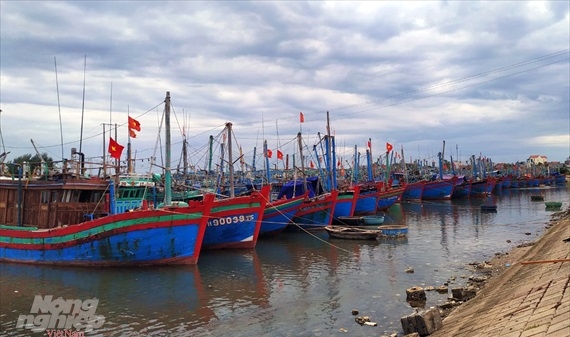 Thanh Hóa: Hơn 3.800 tàu cá đang hoạt động trên biển dù bão tới gần