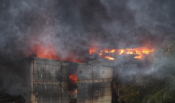 Vụ cháy ở Công ty Rạng Đông: Không sử dụng thực phẩm nuôi trồng trong bán kính 1km