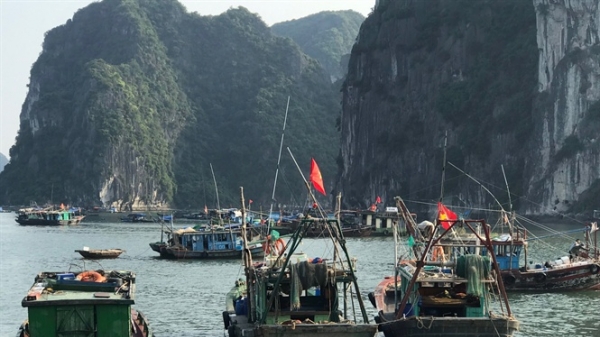 Chuyện những ngư dân Quảng Ninh vươn khơi bám biển: [Bài 1] Lá cờ Tổ quốc và ngôi sao trên mũ thuyền viên