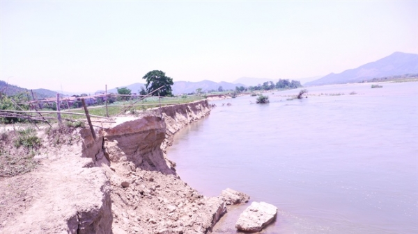 Sông Kôn bị xói lở do khai thác cát: Doanh nghiệp nhận 'tối hậu thư' bồi thường cho dân