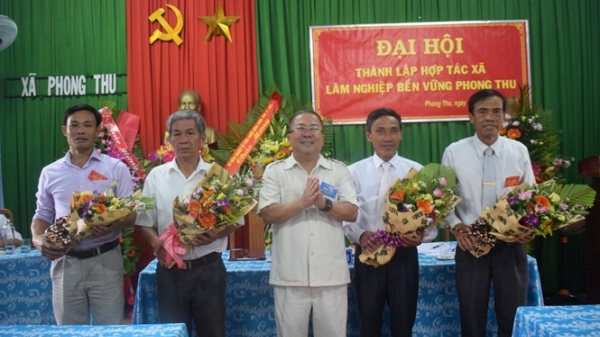 Thành lập Hợp tác xã Lâm nghiệp bền vững Phong Thu