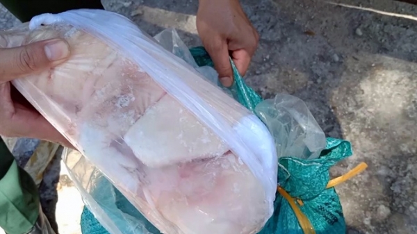 Phát hiện vụ vận chuyển 1,2 tấn thịt lợn đông lạnh không rõ nguồn gốc
