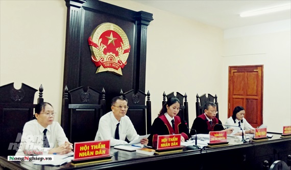Hà Giang: Hoãn xét xử vụ gian lận thi cử vì 122 người liên quan vắng mặt