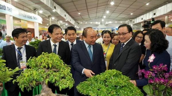 Thủ tướng: Hà Nội cần xây dựng nông nghiệp đặc trưng, nông nghiệp đô thị...