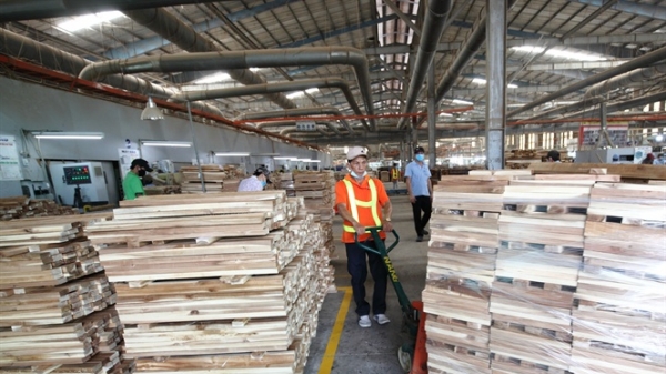 Thương mại gỗ hợp pháp và nhận dạng gỗ