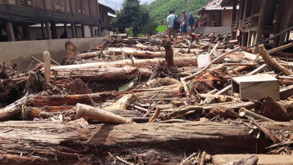 Thanh Hóa: Người dân vớt được trên 950m3 gỗ sau lũ