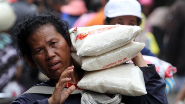 Giá gạo Thái cao ngất & cơ hội cho gạo Việt