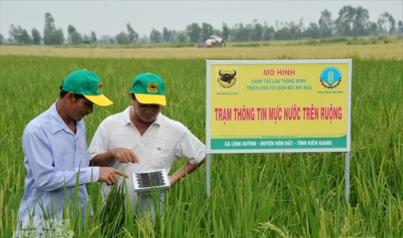Ứng dụng công nghệ 4.0 trong sản xuất lúa