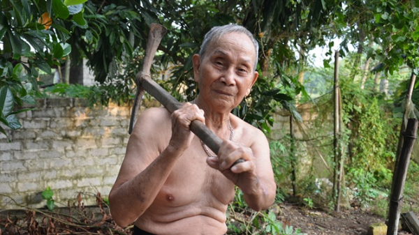 Cụ ông hơn 100 tuổi vẫn gặt lúa, vác thóc, lật đá, bổ củi