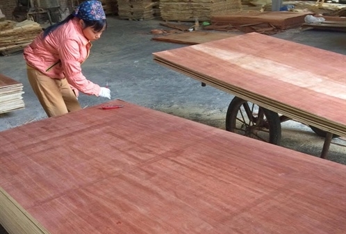 Gỗ Việt trong chiến tranh thương mại Mỹ - Trung: [Bài 2] Nguy cơ rủi ro từ gỗ nguyên liệu