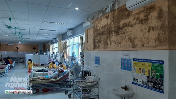 Bệnh viện 1.000 tỷ Bắc Kạn: Xuống cấp nhanh hơn nhà lá, vách đất